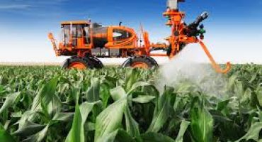 agricola